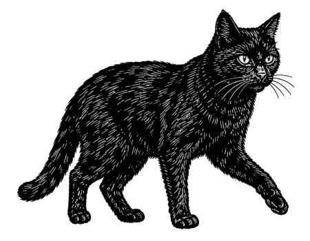 blackcat walk